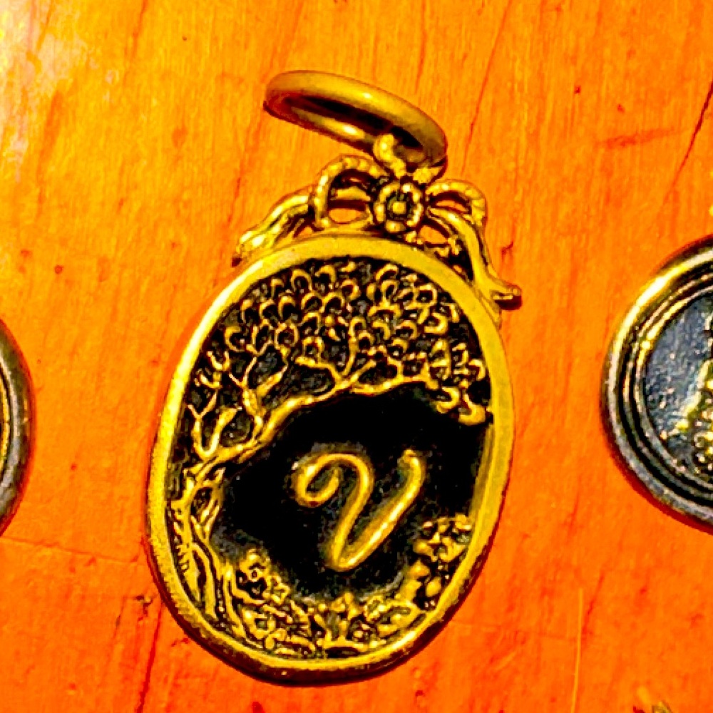 Waxing Poetic V Charm